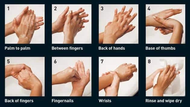 Các bước rửa tay đúng cách.